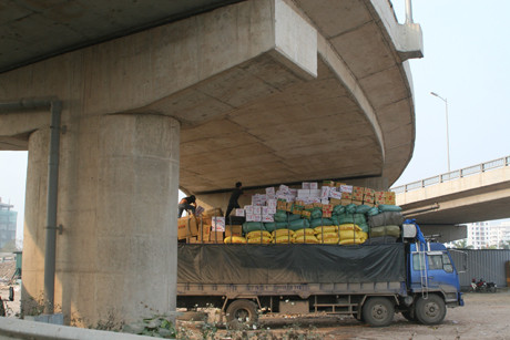 Gầm cầu thành bãi tập kết hàng hóa