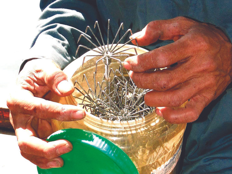 Lưỡi câu mực khơi. Lưỡi câu mực khơi