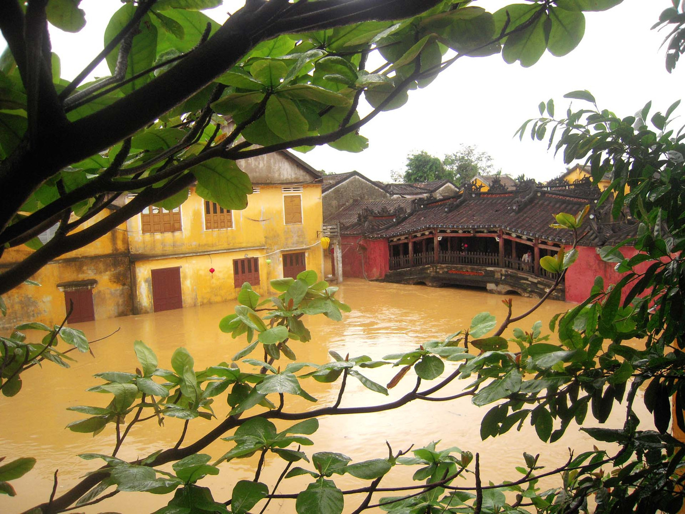 Chùa Cầu sáng 17/11 nước lũ đã rút khỏi mặt ván cầu 