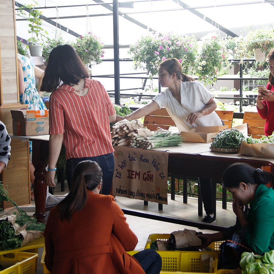 Nhóm phụ nữ người Churu giới thiệu rau hữu cơ Iem Gõi.