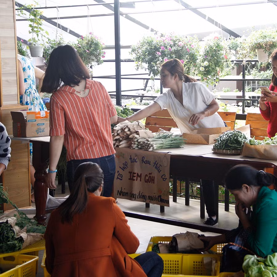 Nhóm phụ nữ người Churu giới thiệu rau hữu cơ Iem Gõi. Nhóm phụ nữ người Churu giới thiệu rau hữu cơ Iem Gõi.