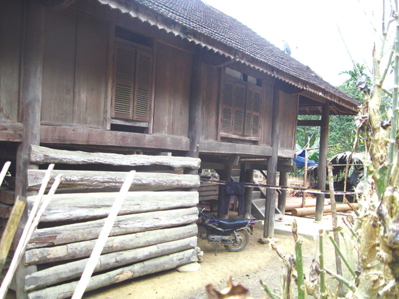 Gỗ được chất hai bên đường và dưới sàn nhà. Gỗ được chất hai bên đường và dưới sàn nhà