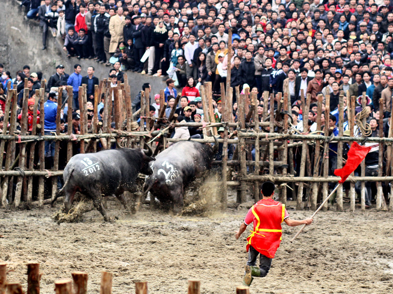 Truy sát đối thủ tới cùng