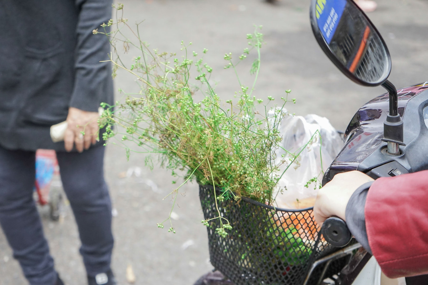 Pháo hoa rực sáng bầu trời chào đón năm mới Kỷ Hợi ảnh 61