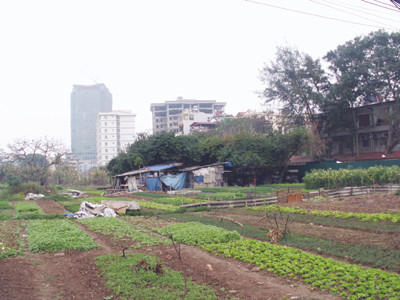 Việc chuyển đổi đất nông nghiệp xen kẹt trong dân cư thành đất ở tại Hà Nội vẫn được coi là lĩnh vực dễ phát sinh tiêu cực - Ảnh chụp tại quận Đống Đa Ảnh: N.Q