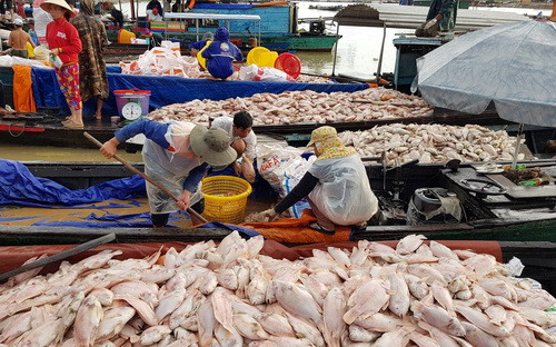 Công an điều tra 1.500 tấn cá chết trắng trên sông La Ngà ảnh 1