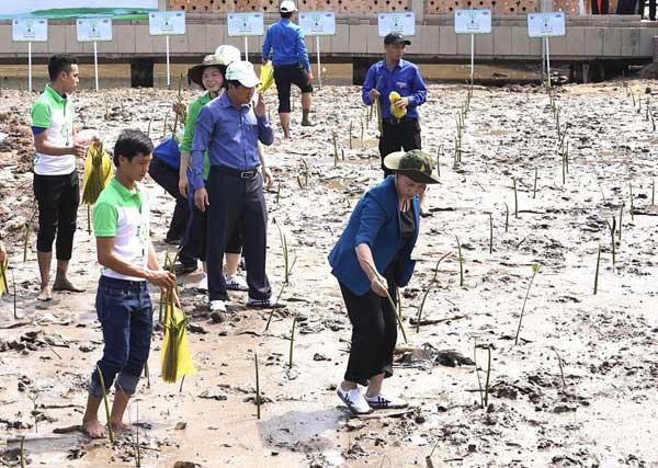 Vinamilk và quỹ 1 triệu cây xanh cho Việt Nam ảnh 4