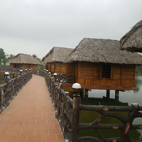 Kiểm tra tổ hợp vui chơi, ẩm thực hoành tráng trên đất nông nghiệp ảnh 3