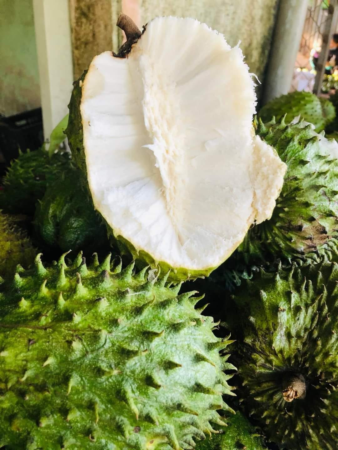 Mãng cầu xanh liên tục cháy hàng do nhiều người tìm mua làm món trà mãng cầu (Ảnh: Ngoc Ha). Mãng cầu xanh liên tục cháy hàng do nhiều người tìm mua làm món trà mãng cầu (Ảnh: Ngoc Ha).