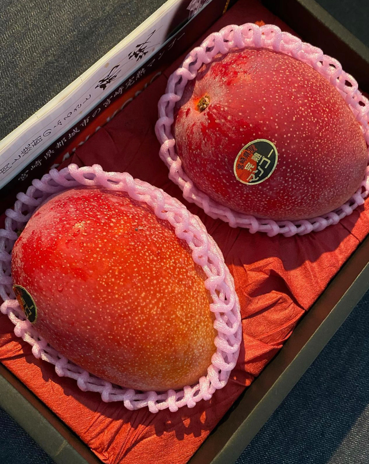 Xoài đỏ có giá thành đắt đỏ bậc nhất thế giới, có thể lên đến hơn 1 triệu đồng/quả (Ảnh: Shinichi). Xoài đỏ có giá thành đắt đỏ bậc nhất thế giới, có thể lên đến hơn 1 triệu đồng/quả (Ảnh: Shinichi).