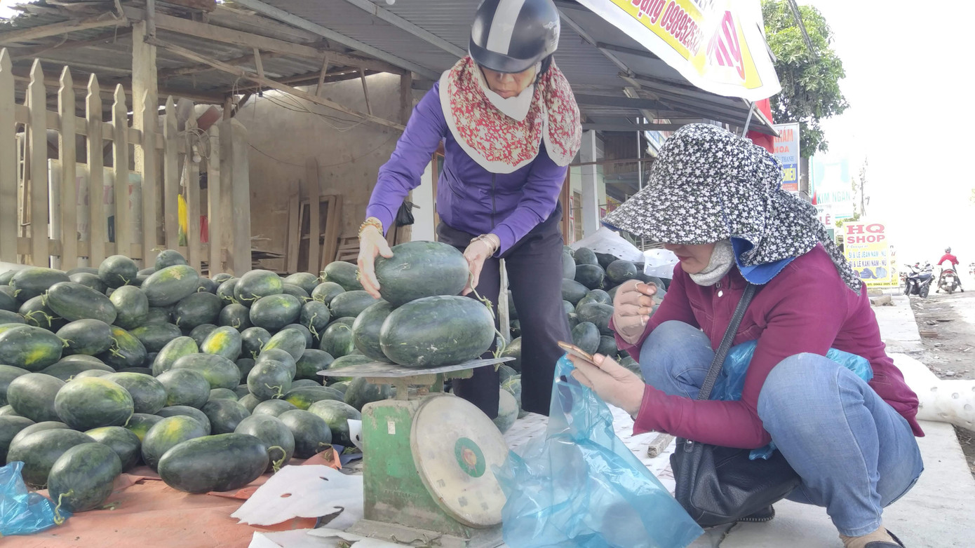 Siêu thị 'giải cứu' nông sản trong mùa dịch corona ảnh 2