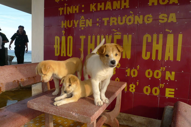 Nhà của chúng ta là đảo Thuyền Chài