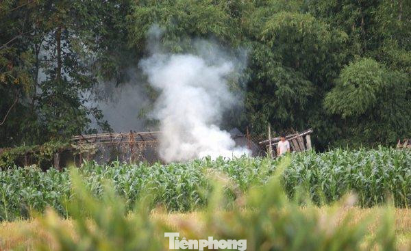 Cứ tầm khoảng 4-5h chiều, người dân ở các xã Thanh Xuân, Quang Tiến, Phù Lỗ, Mai Đình…(huyện Sóc Sơn) lại chất từng đống rơm to và châm lửa đốt bỏ. Người dân trong khu vực không khỏi ngao ngán bởi bầu không khí luôn sặc sụa trong khí độc. Cứ tầm khoảng 4-5h chiều, người dân ở các xã Thanh Xuân, Quang Tiến, Phù Lỗ, Mai Đình…(huyện Sóc Sơn) lại chất từng đống rơm to và châm lửa đốt bỏ. Người dân trong khu vực không khỏi ngao ngán bởi bầu không khí luôn sặc sụa trong khí độc.