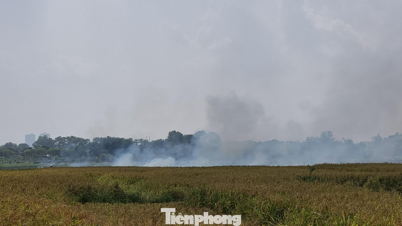 Khu vực xã Dục Tú, xã Mai Lâm (Đông Anh, TP Hà Nội), sau khi thu hoạch lúa, người dân chất liên tiếp từng đống rơm, rạ rồi đốt tràn lan, khiến người đi đường không khỏi ngạt thở. Khu vực xã Dục Tú, xã Mai Lâm (Đông Anh, TP Hà Nội), sau khi thu hoạch lúa, người dân chất liên tiếp từng đống rơm, rạ rồi đốt tràn lan, khiến người đi đường không khỏi ngạt thở.