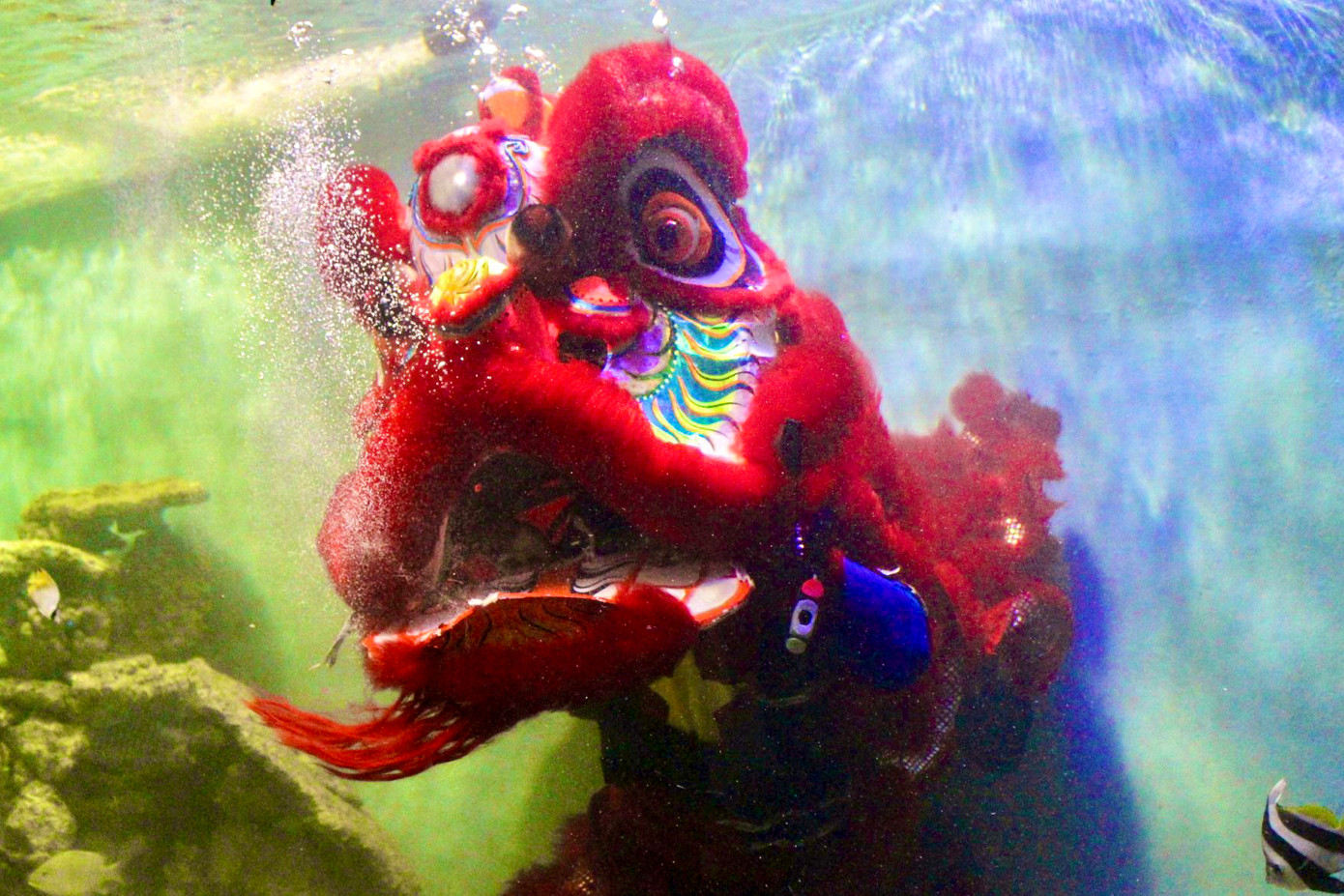 Du khách thích thú khi xem lân múa dưới nước kết hợp với ông địa cho cá ăn. (Ảnh: Khánh Nguyên).