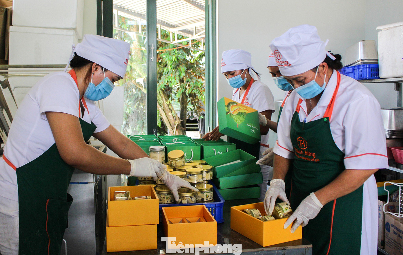 Ngoài xuất khẩu tươi, một số nông dân nhập máy móc để sản xuất sản phẩm sầu riêng sấy khô mang thương hiệu sầu riêng Khánh Sơn. Trong ảnh, công nhân Công ty TNHH Nông nghiệp Thành Hưng (huyện Khánh Sơn) đang đóng gói sản phẩm sầu riêng sấy khô, chuẩn bị xuất ra thị trường.