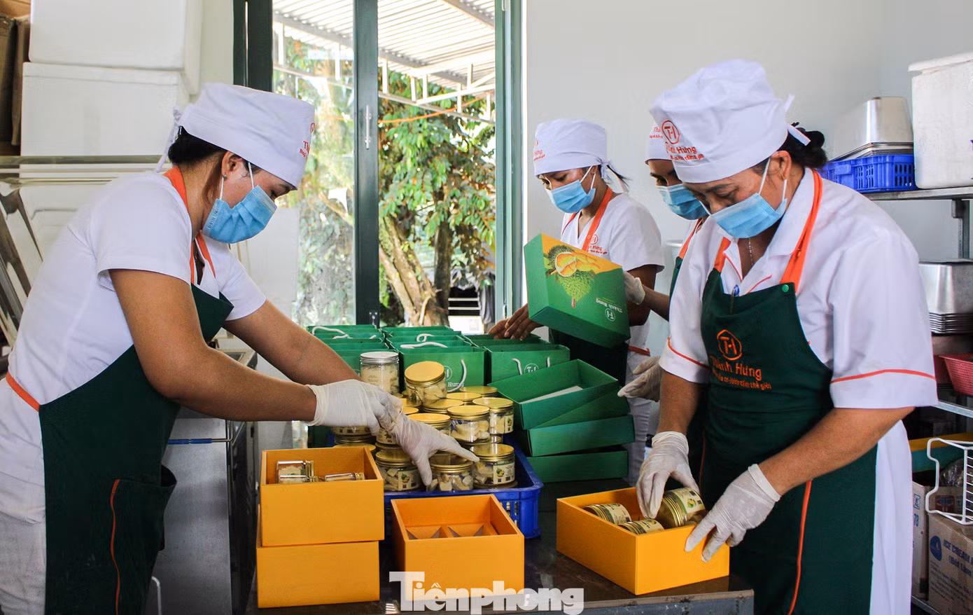 Ngoài xuất khẩu tươi, một số nông dân nhập máy móc để sản xuất sản phẩm sầu riêng sấy khô mang thương hiệu sầu riêng Khánh Sơn. Trong ảnh, công nhân Công ty TNHH Nông nghiệp Thành Hưng (huyện Khánh Sơn) đang đóng gói sản phẩm sầu riêng sấy khô, chuẩn bị xuất ra thị trường.