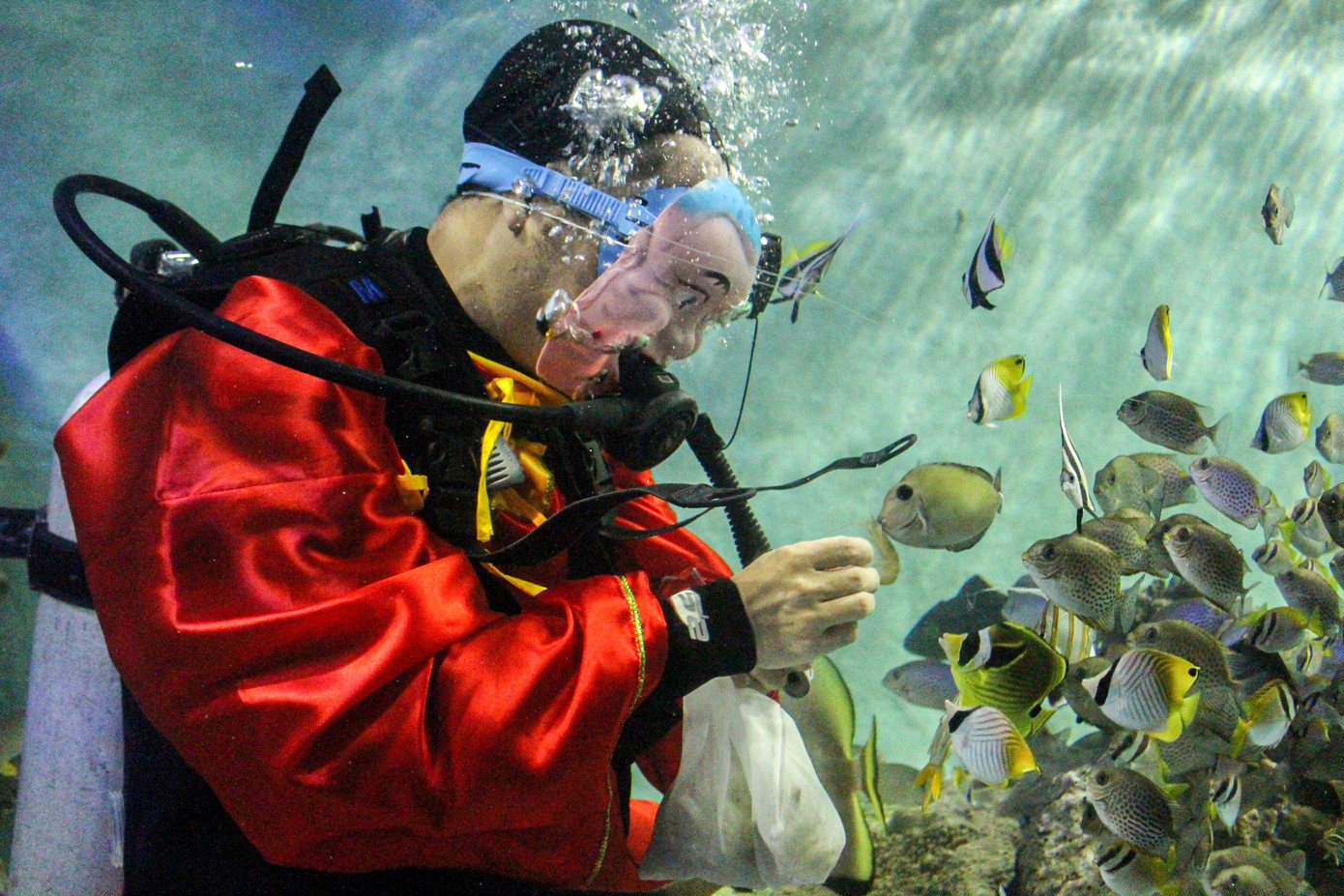 Du khách thích thú khi xem lân múa dưới nước kết hợp với ông địa cho cá ăn. (Ảnh: Khánh Nguyên).