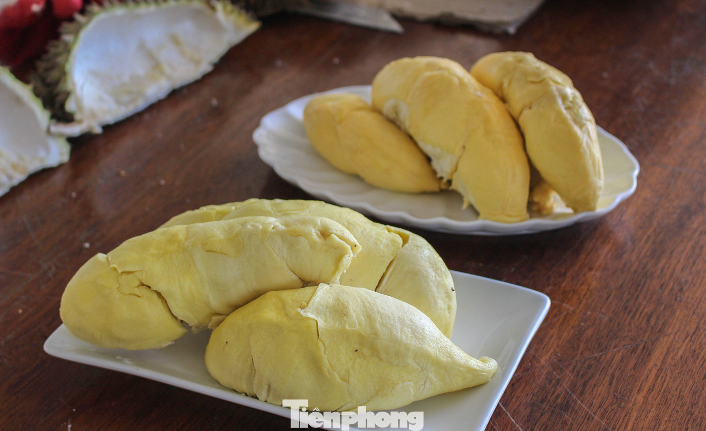 Do đặc điểm của khí hậu nên sầu riêng Khánh Sơn thu hoạch muộn hơn sầu riêng miền Tây và Đông Nam Bộ khoảng 1-2 tháng và sớm hơn Tây Nguyên 1 tháng. Điều này giúp cho sản phẩm sầu riêng của nơi này càng thêm đặc biệt. Sản phẩm trái sầu riêng của Khánh Sơn hiện không chỉ tiêu thụ trong nước mà còn xuất khẩu đi Trung Quốc, Mỹ, Singapore...