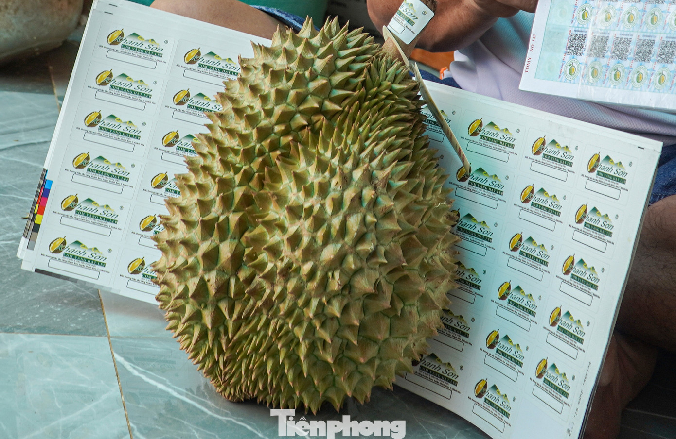 Tổ hợp tác cây sầu riêng Sơn Lâm của ông Khang được cấp mã vùng trồng đủ chuẩn sạch để xuất khẩu đi Trung Quốc. "Sầu riêng của tổ hợp tác đều có chứng nhận sạch nên giờ đây chúng tôi không còn lo lắng đầu ra cho sản phẩm như những năm trước nữa", ông Khang chia sẻ.