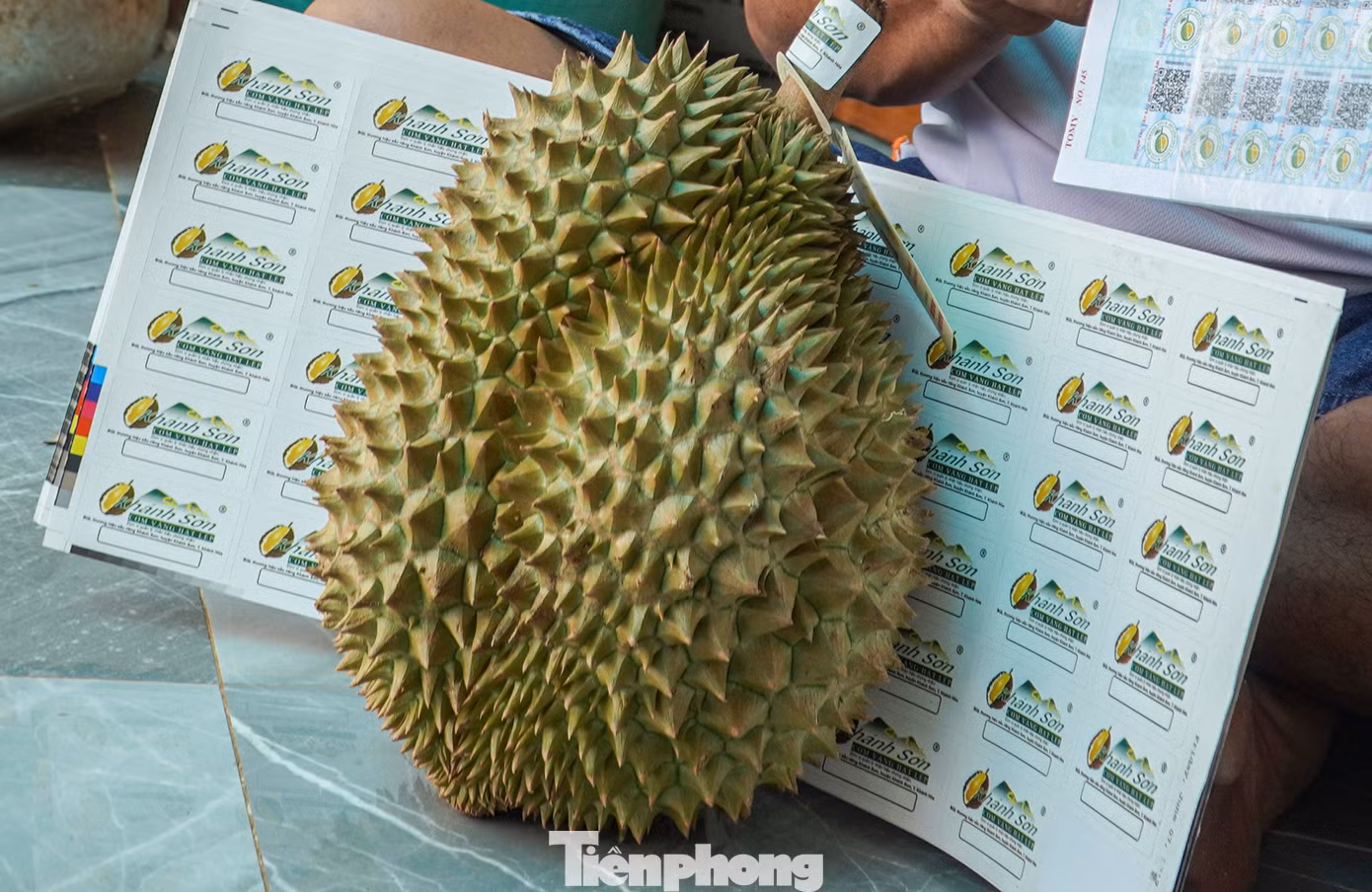 Tổ hợp tác cây sầu riêng Sơn Lâm của ông Khang được cấp mã vùng trồng đủ chuẩn sạch để xuất khẩu đi Trung Quốc. "Sầu riêng của tổ hợp tác đều có chứng nhận sạch nên giờ đây chúng tôi không còn lo lắng đầu ra cho sản phẩm như những năm trước nữa", ông Khang chia sẻ.