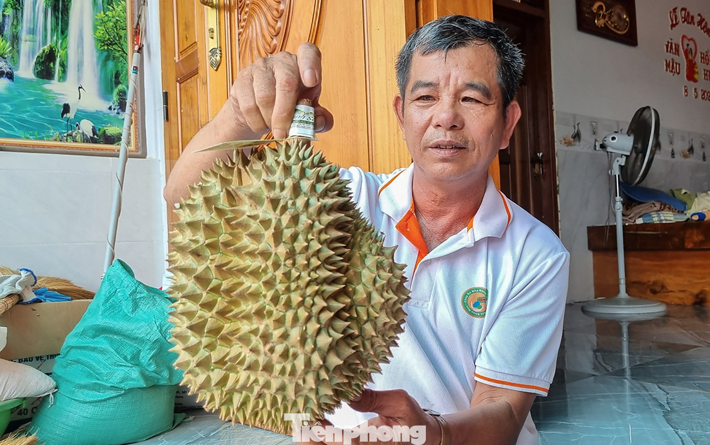 Còn ông Mai Văn Khang (ở xã Sơn Bình) cho biết, gia đình có 10 ha sầu riêng và đã được cấp mã vùng trồng để xuất khẩu sang Trung Quốc. “Với giá bán cao như hiện nay, gia đình tôi thu lãi 6-7 tỷ đồng sau khi kết thúc vụ sầu riêng”, ông Khang vui mừng nói.