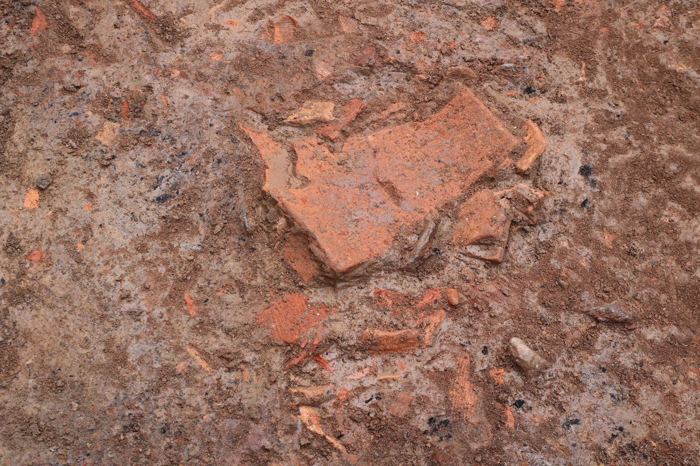 Dấu tích di vật tìm thấy trong đợt khai quật Thành Quèn lần 1 năm 2023. Ảnh: ĐHKHXHNV.