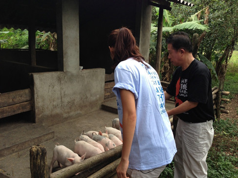 Cô và đầu bếp Yan Can Cook còn vào tận chuồng heo để cho chúng ăn
