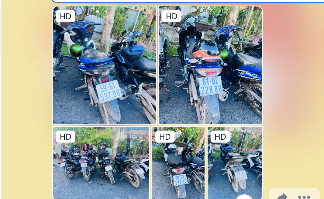 Nhóm 'hiệp sĩ' dởm và phương tiện gây án.