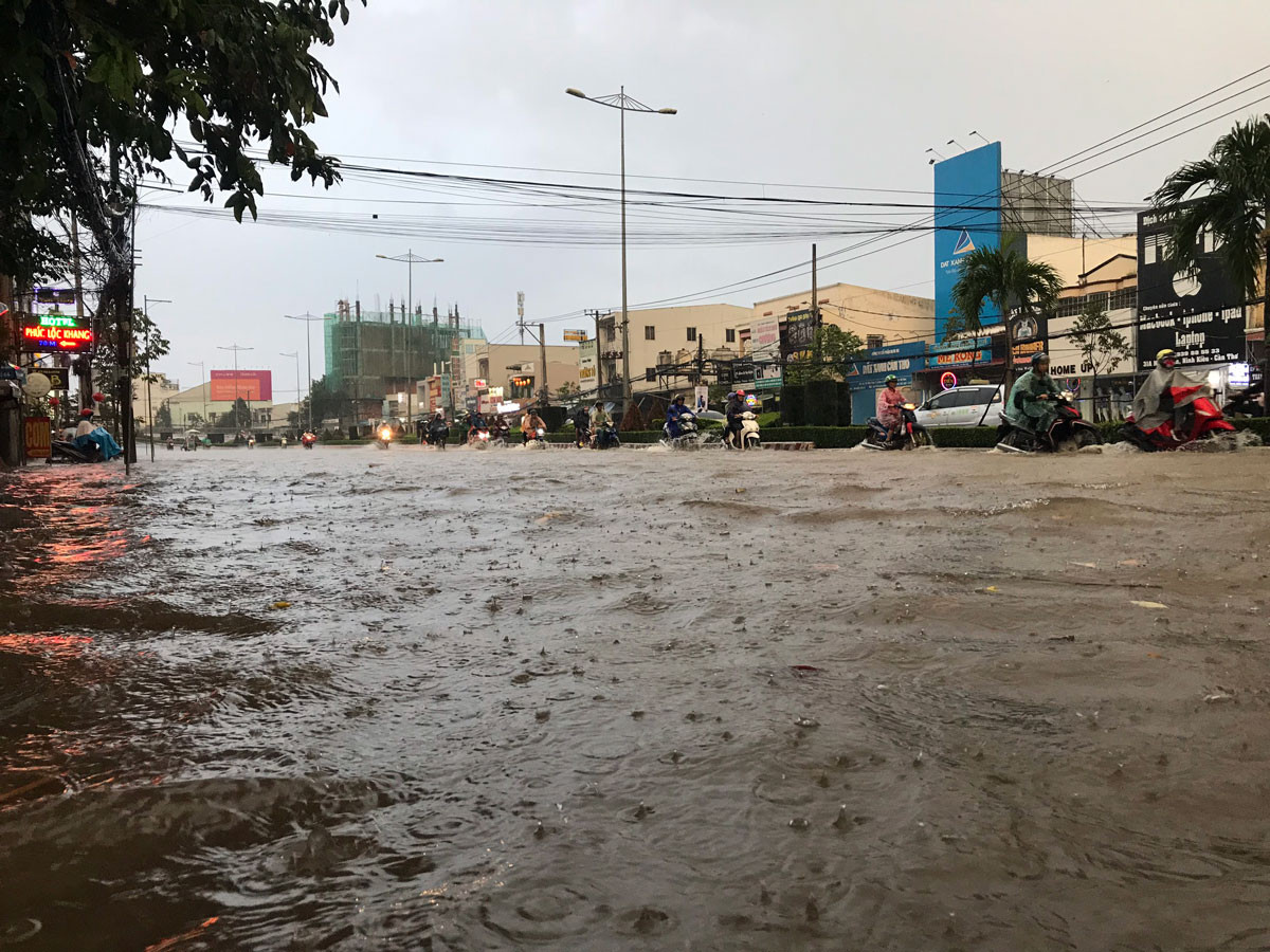 Triều cường tràn đê, tài sản người dân bị nhấn chìm ảnh 14