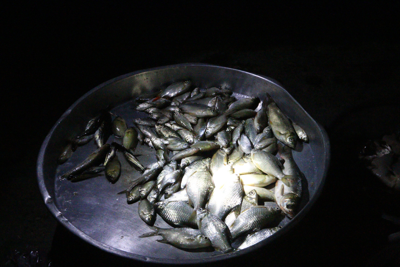 Nửa đêm đi 'chợ ma' giữa vùng nước nổi ảnh 4