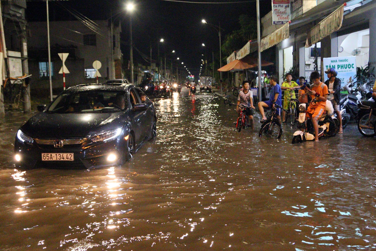 Triều cường tràn đê, tài sản người dân bị nhấn chìm ảnh 12
