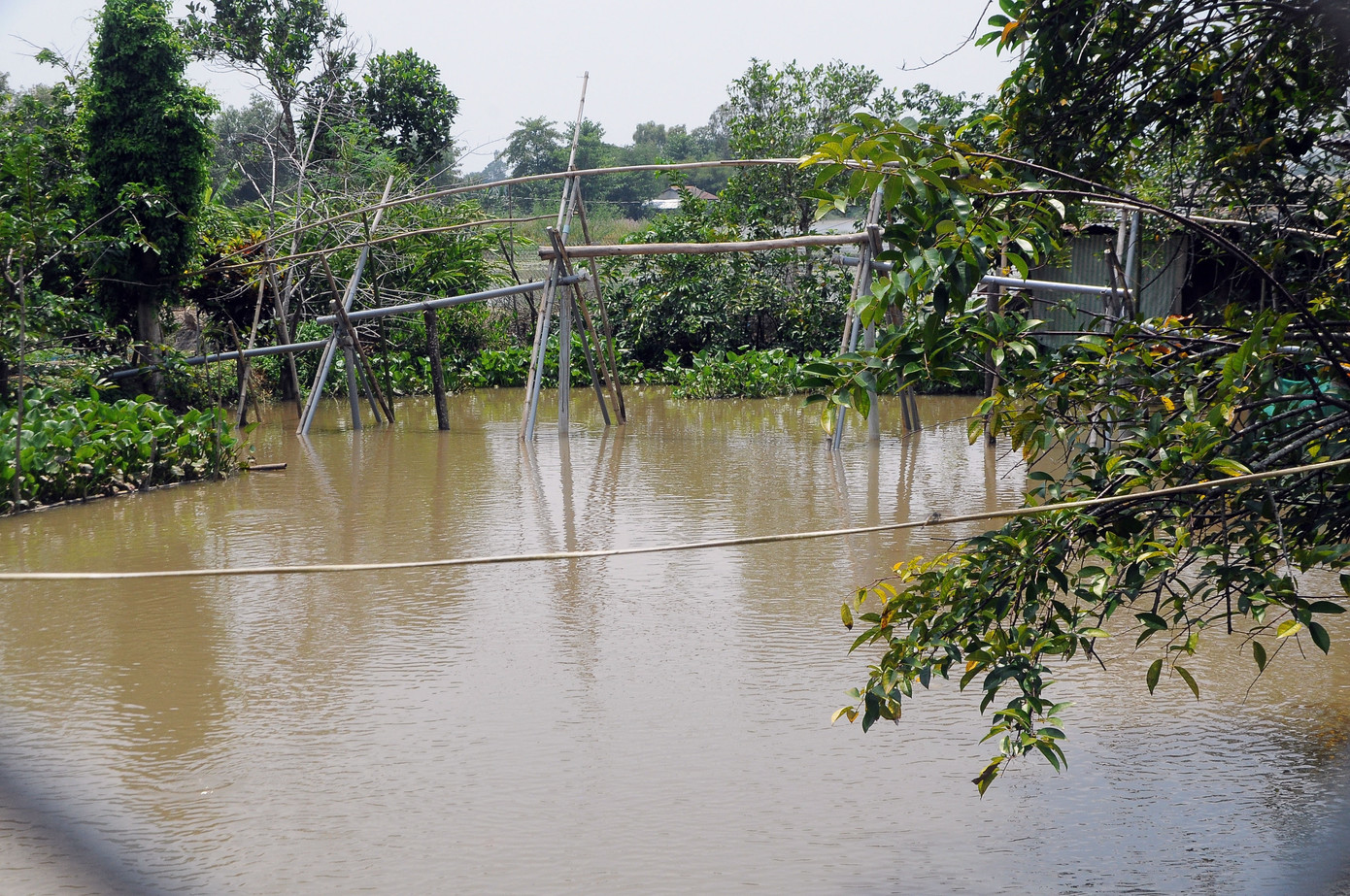 Những hình ảnh bình dị của Anh hùng phi công Nguyễn Văn Bảy tại quê nhà ảnh 10