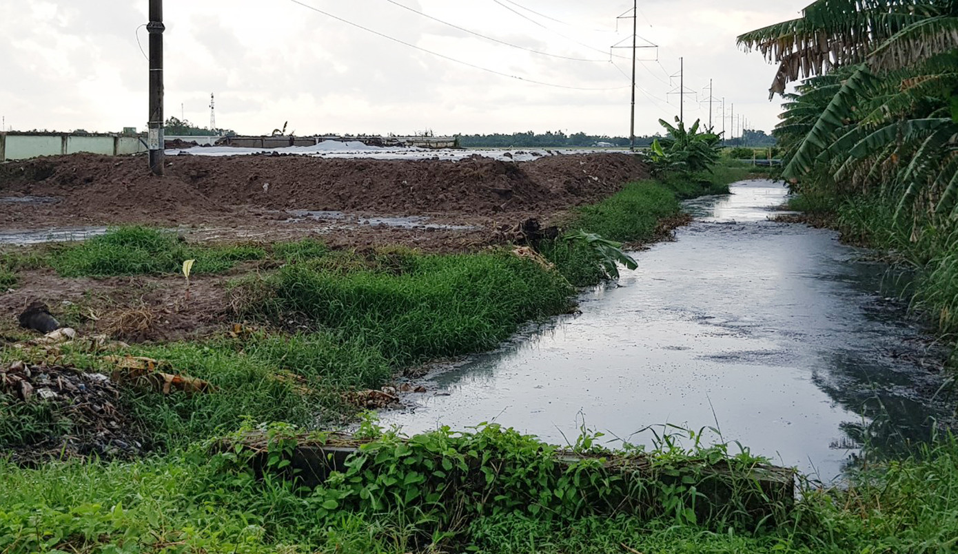 Gây ô nhiễm nghiêm trọng, một doanh nghiệp ở Sóc Trăng bị phạt 1,3 tỷ đồng ảnh 1