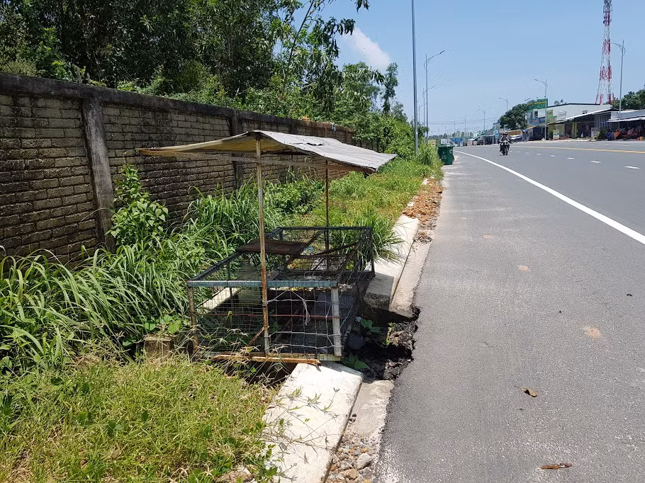 Hàng trăm nắp cống trên tuyến đường đẹp nhất đảo Phú Quốc bị trộm cắp ảnh 8