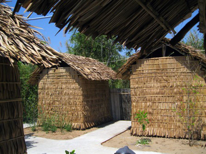 Ngư phủ rùng mình nhớ giây phút tàu hàng đâm chìm tàu cá khiến 9 người mất tích ảnh 2