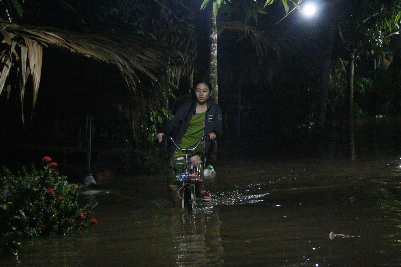 Triều cường tràn đê, tài sản người dân bị nhấn chìm ảnh 5