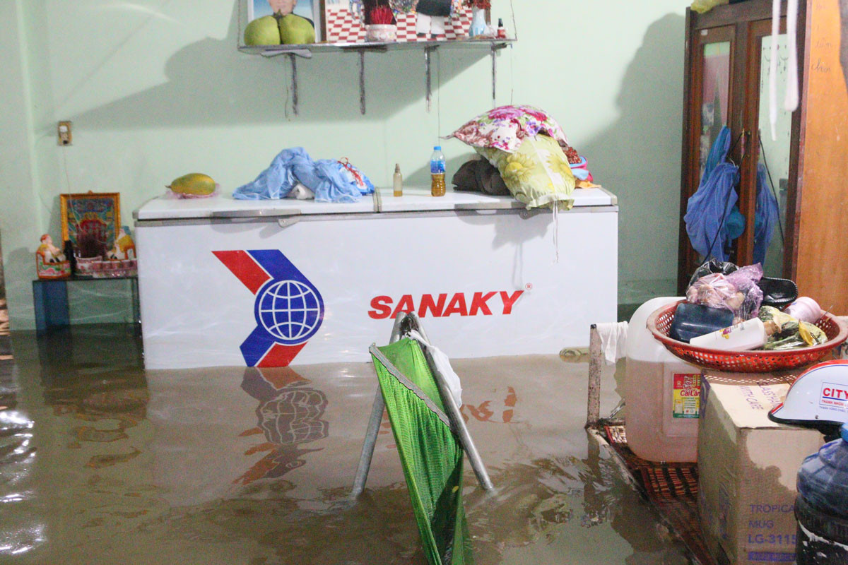 Triều cường tràn đê, tài sản người dân bị nhấn chìm ảnh 2