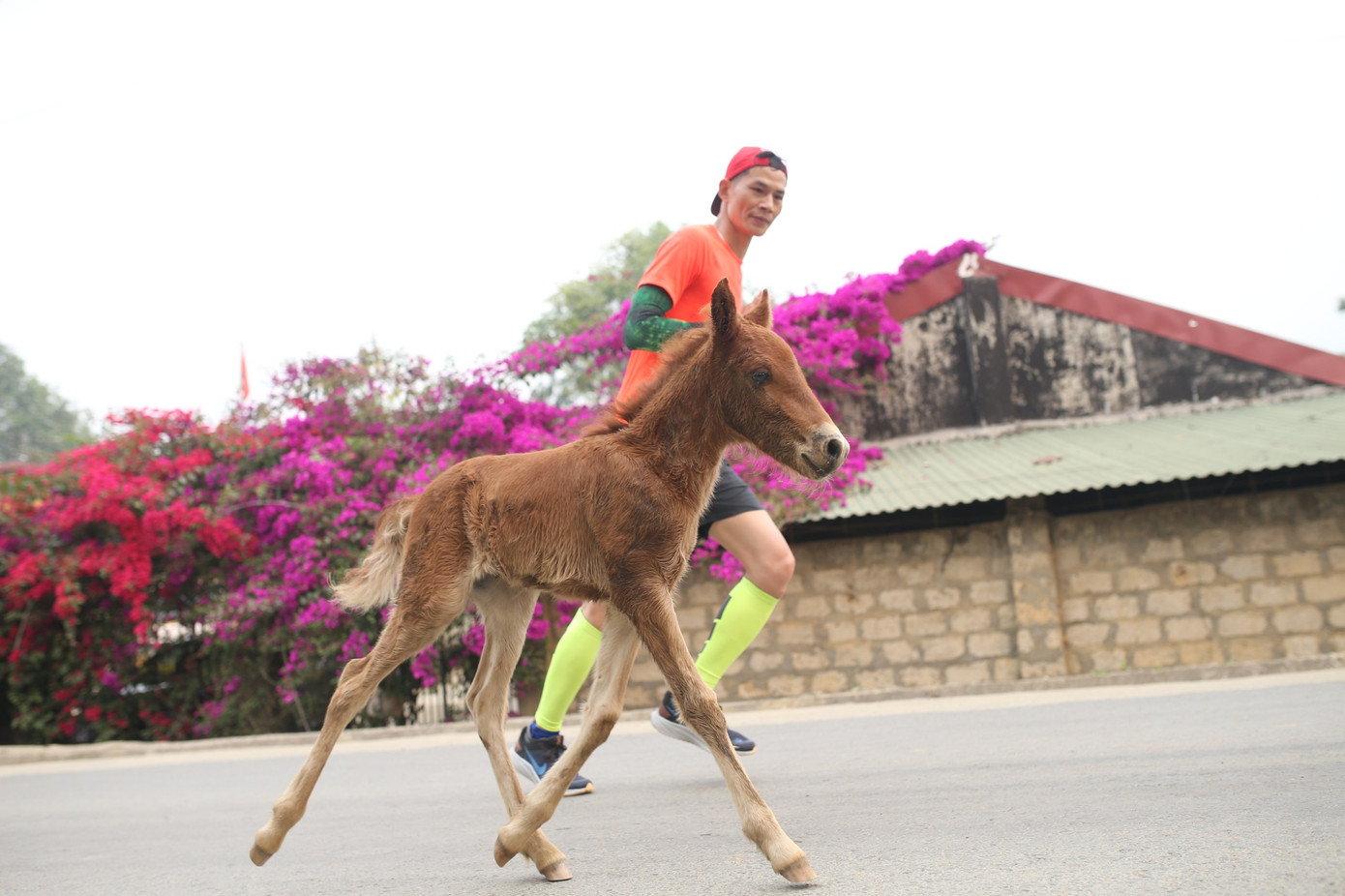 Tạm biệt Lai Châu, hẹn ngày trở lại! ảnh 138