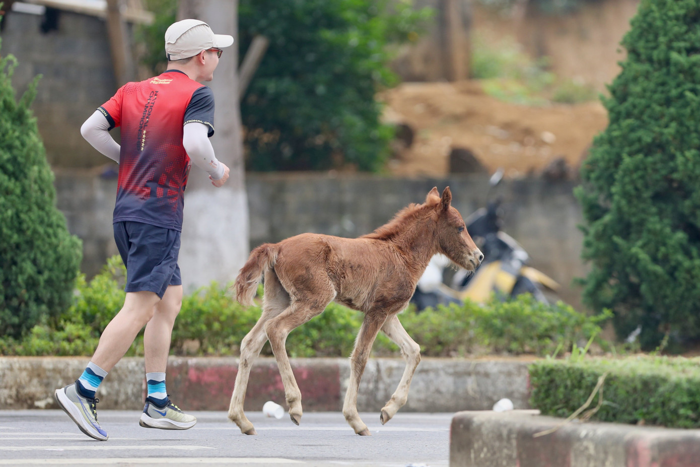 Tạm biệt Lai Châu, hẹn ngày trở lại! ảnh 151