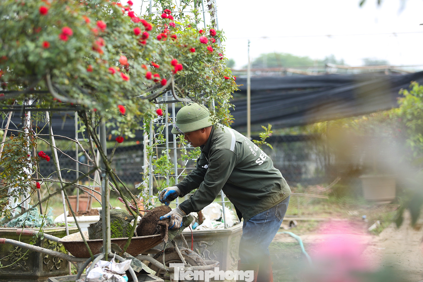 Một tác phẩm sau khi hoàn thiện kiểu dáng cây, tiểu cảnh sẽ được chăm sóc kỹ lưỡng bón phân đúng thời điểm, cắt tỉa cây thường xuyên đến khi cây trổ hoa sẽ được đem bán.