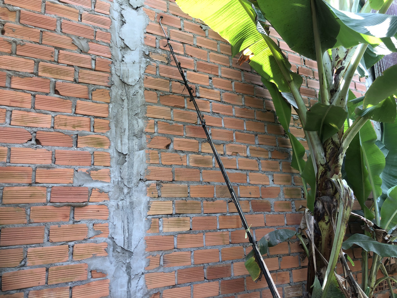 Cần phun thuốc cháy đen được ông H. dùng để chích cá. Ảnh: MĐ