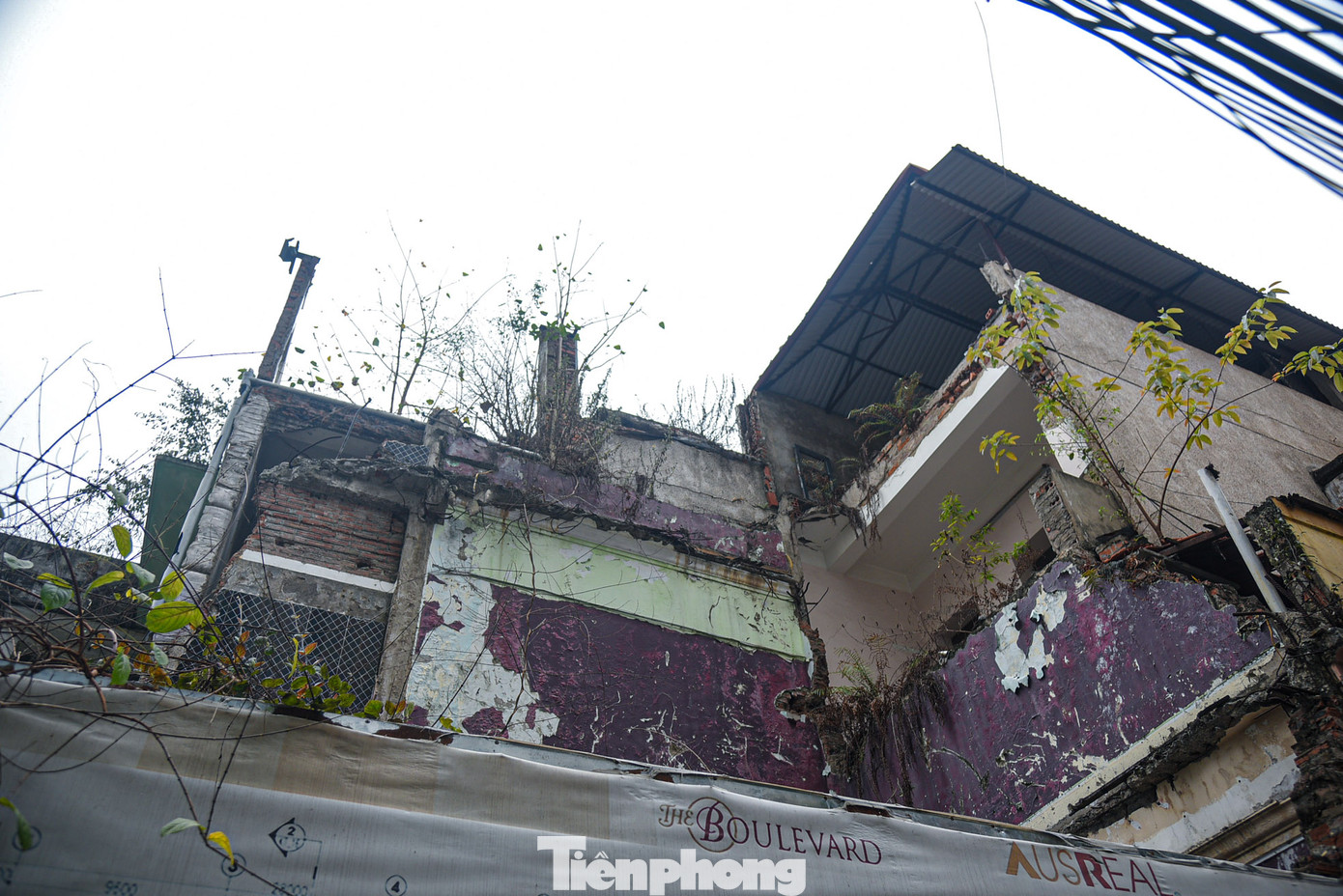 Cảnh hoang tàn bên trong dự án.