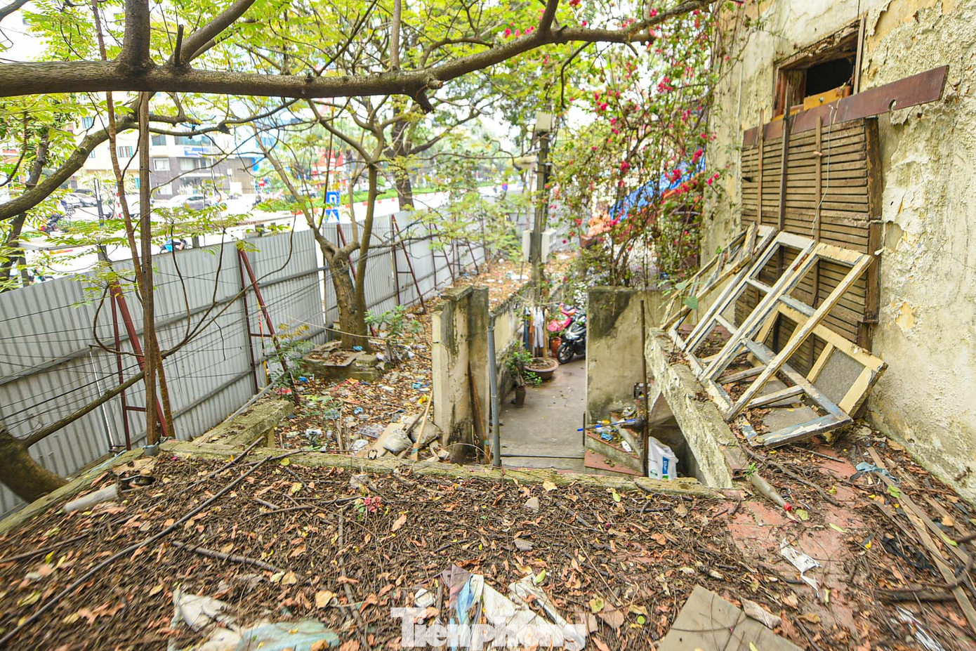 Nhiều hạng mục đã được người dân tự phá dỡ, lâu ngày khiến cỏ dại mọc um tùm.
