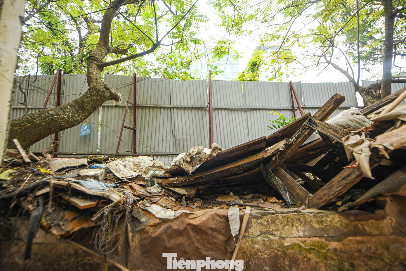 Phế liệu, rác được vứt đầy bên trong dự án.