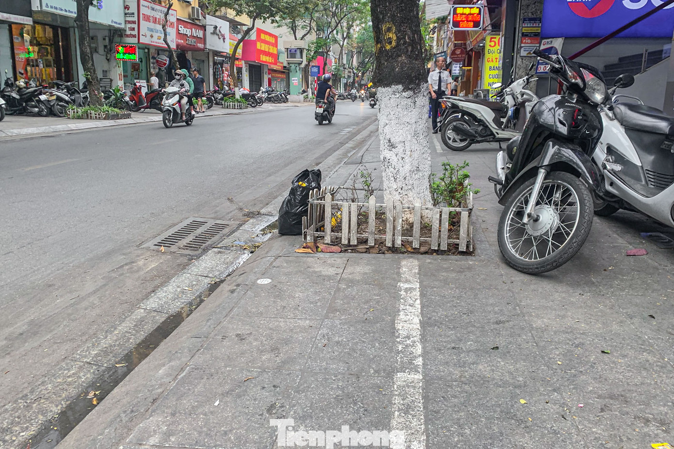 Một nửa vỉa hè để đỗ xe máy, một nửa vướng gốc cây, không còn chỗ cho người đi bộ.