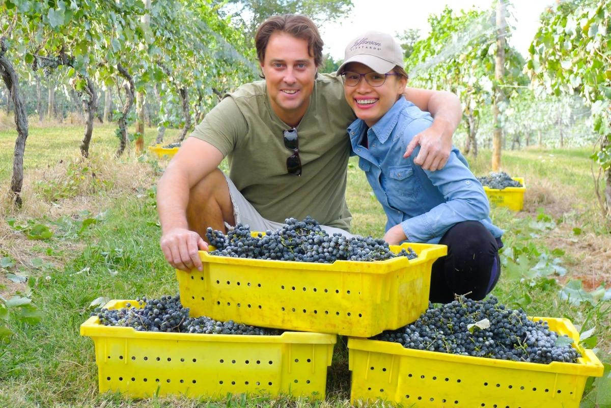 Cả hai đã từ bỏ công việc yêu thích để về tiếp quản nông trại trồng nho.