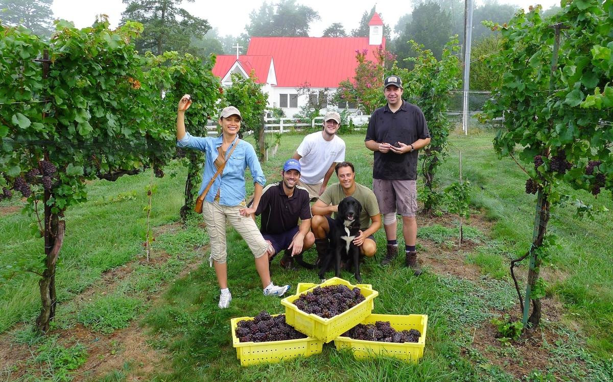 Hoa hậu vui vẻ đón bạn bè đến trang trại chơi