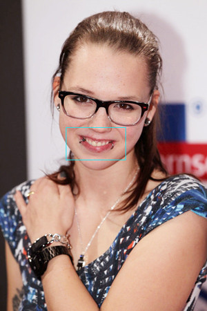 Stefanie Heinzmann Amy Winehouse Amber Rose Ashley Massaro Pink Heidi Montag Bar Refaeli Rihanna Christina Aguilera Drew Barrymore