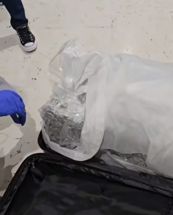 Tình cờ thế nào mà cặp vợ chồng người Thái Lan lại lấy nhầm trúng cái va-li đựng chất cấm. Ảnh: Heng On.